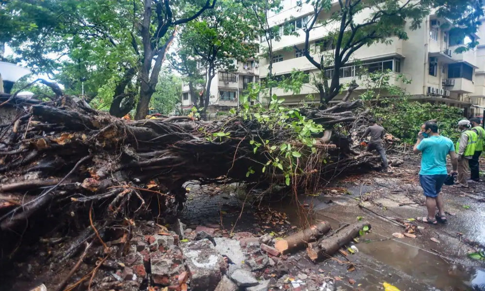 3 dead, 7 injured as Cyclone Nisarga whirls past Mumbai