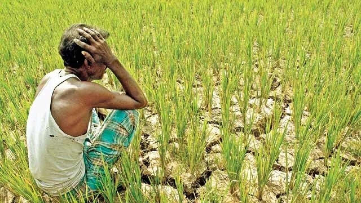 Farmers in Singur find themselves in Catch-22 situation