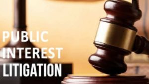 Public Interest Litigation: A law and economic perspective