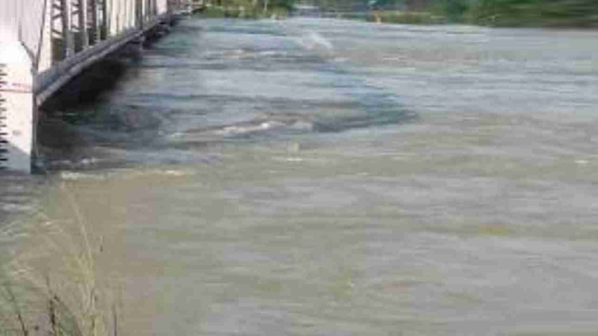 Brother, sister drown in pond in Bharatpur