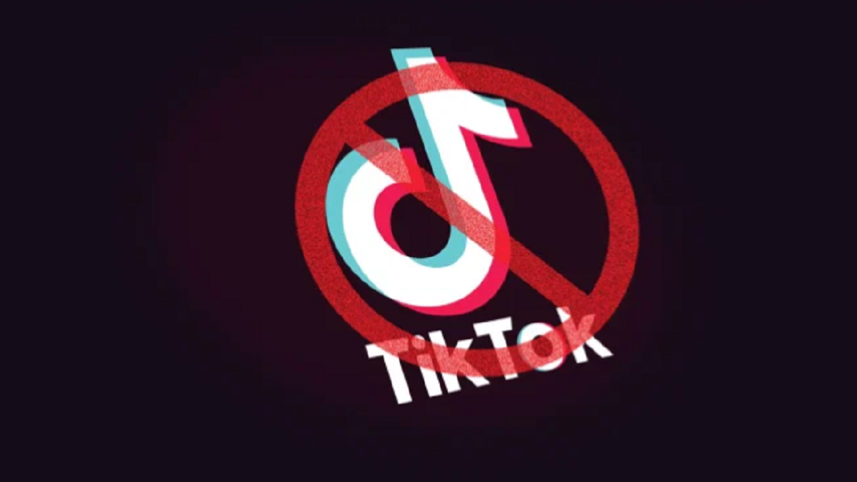 Taliban to ban TikTok, Pubg within next THREE months