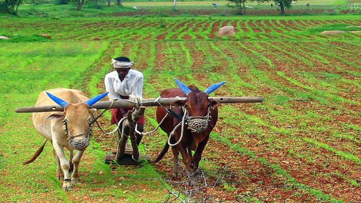 Transforming agriculture through village-level infrastructure