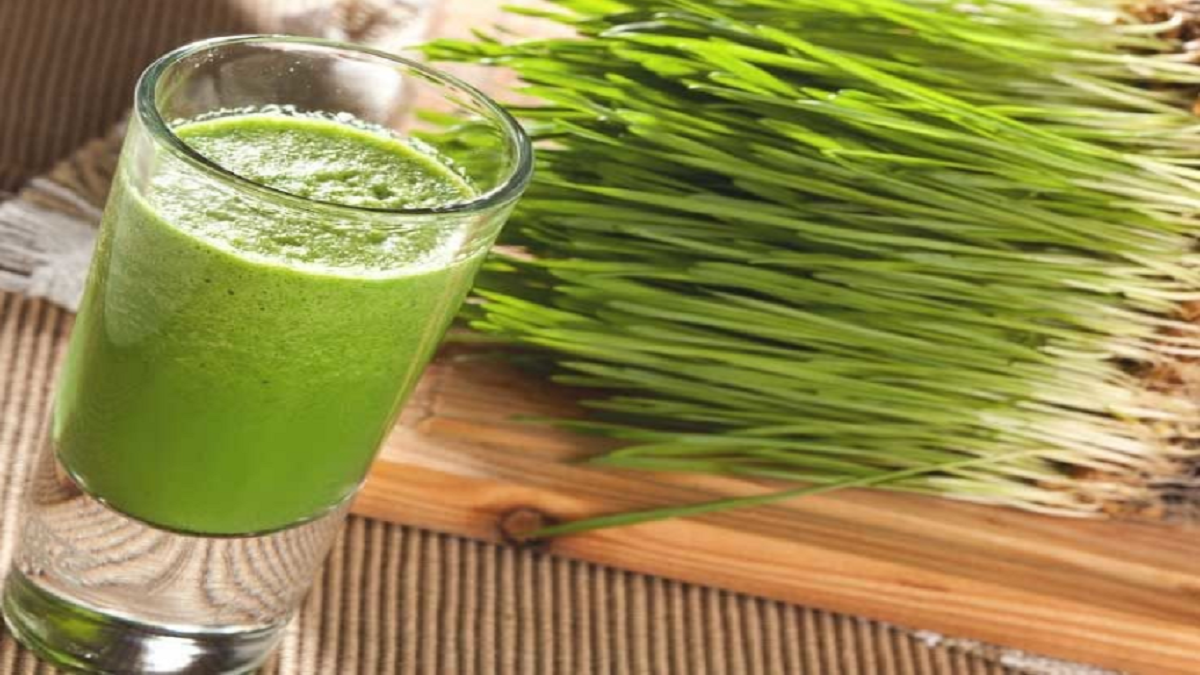 Wheatgrass juice: Healthy immunity booster to add to your routine