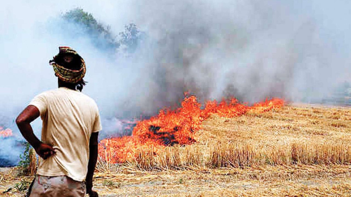 India needs more than laws to stamp out farm fires