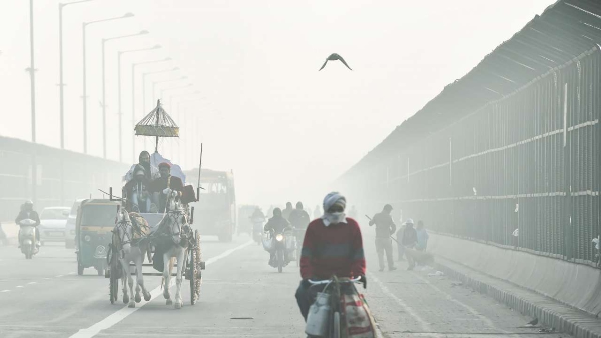 Cold wave: Delhi shivers, people die in UP, Rajasthan, Haryana too hit