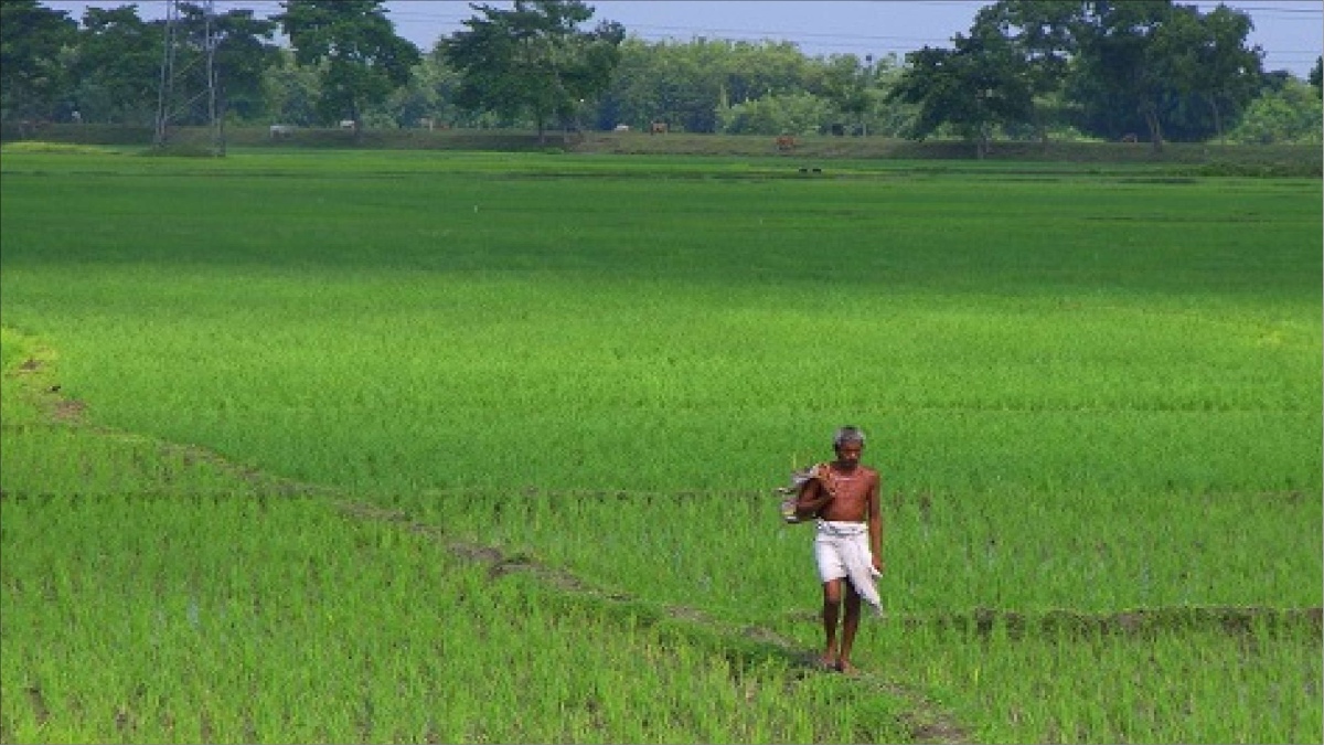 How much land reform policies have helped India: A thorough analysis