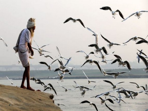 Bird flu outbreak reported in Alappuzha, Kerala