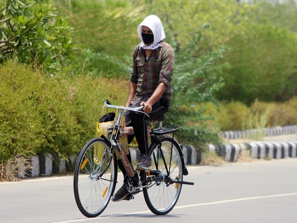 Heatwave in North India less likely amid surge in thunderstorm activities: IMD
