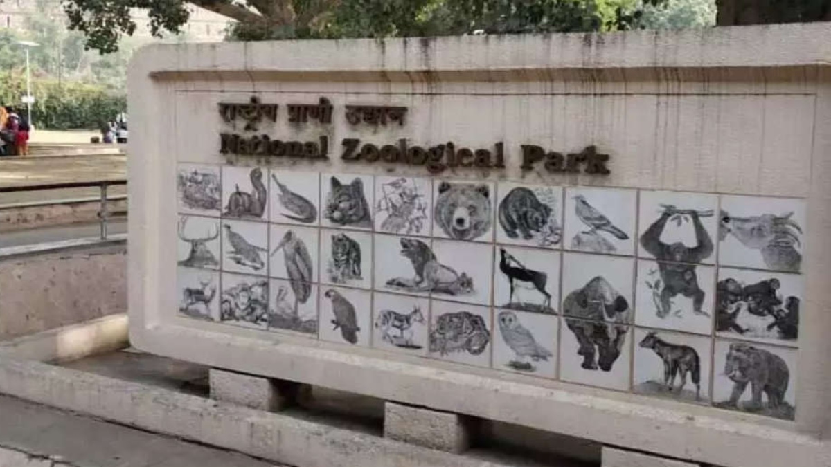 DELHI ZOO REOPENS TODAY; 1,500 VISITORS TO BE ALLOWED IN EACH SLOT