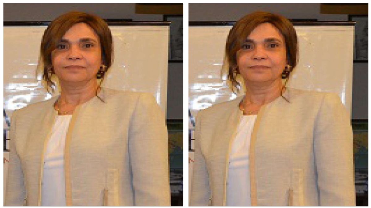 Egypt has been relatively successful in combating Covid-19 pandemic: Ambassador Dr Heba Elmarassi