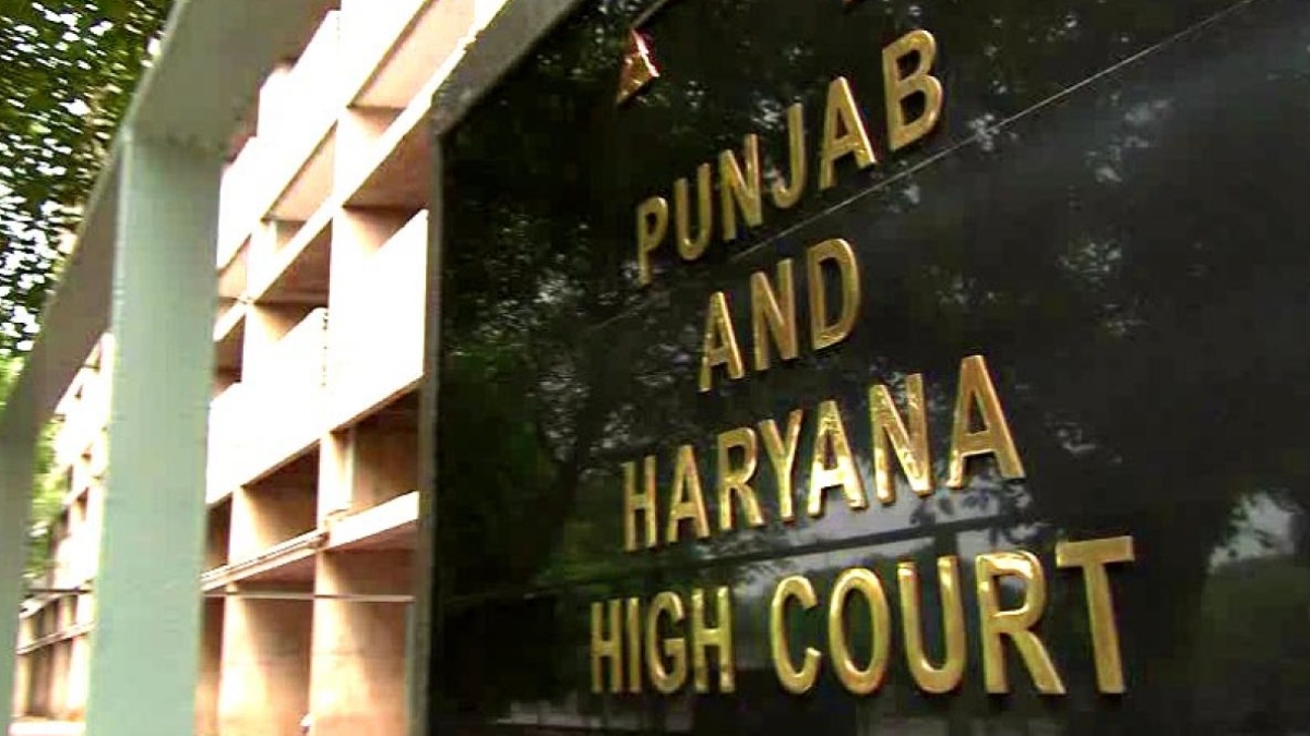 LIVE-IN RELATIONSHIPS NOT ACCEPTABLE SOCIALLY, MORALLY: PUNJAB HC