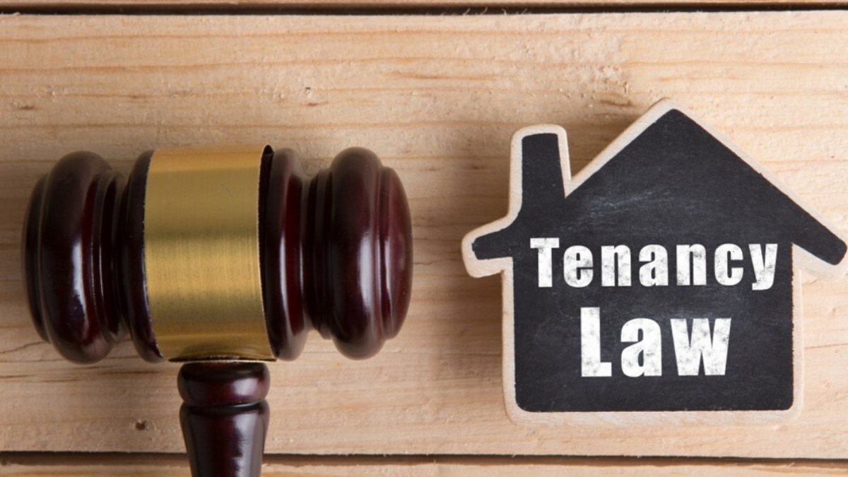 What does Model Tenancy Act have in the bag for you?
