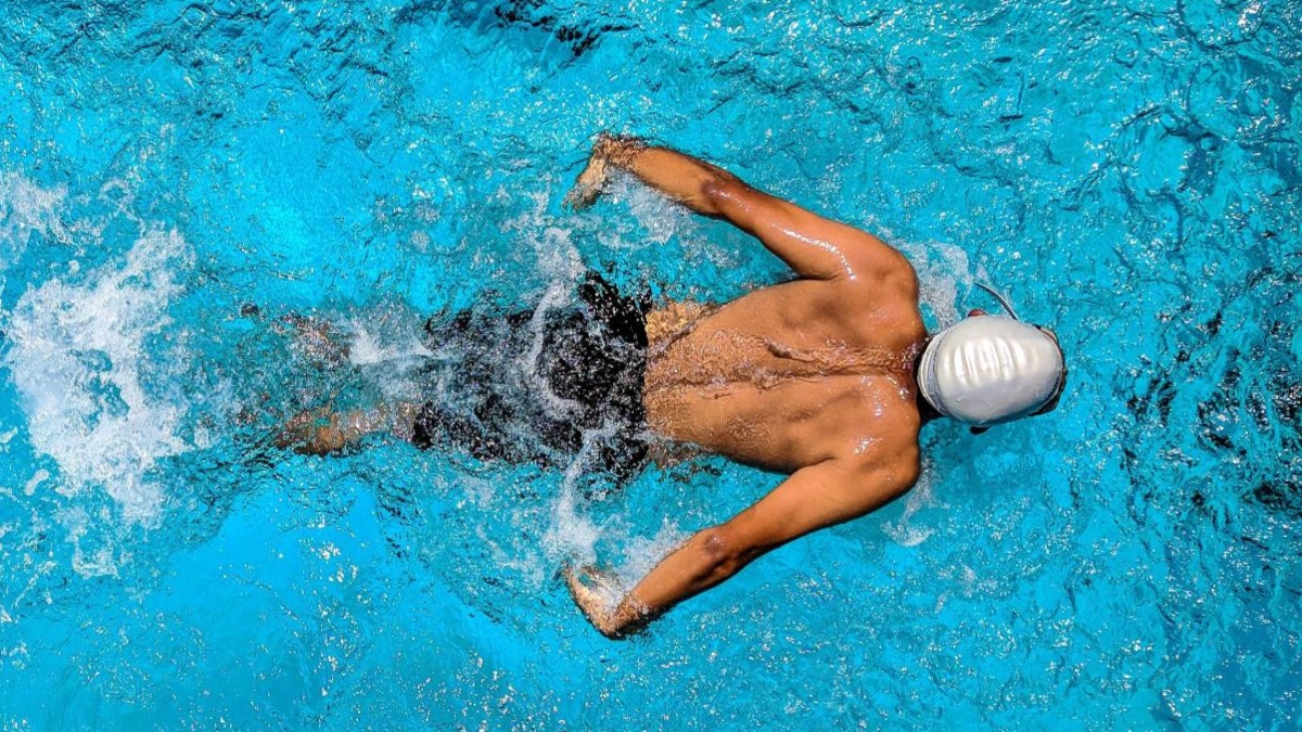 The swimming cartel in India