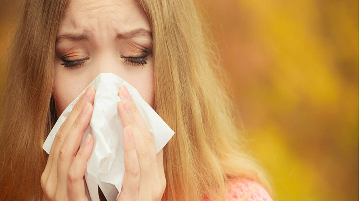 ALL YOU NEED TO KNOW ABOUT ALLERGIC SINUS INFECTIONS