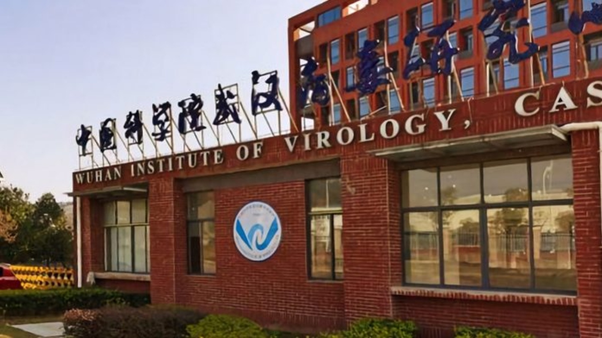 BAT SAMPLES AT WUHAN LAB ‘NOT WORKED OUT OR RESULTS PUBLISHED’