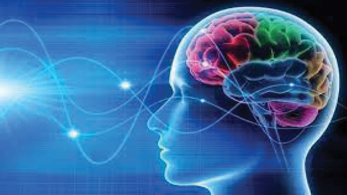 Rewiring Brain: Neuroplasticity ﻿