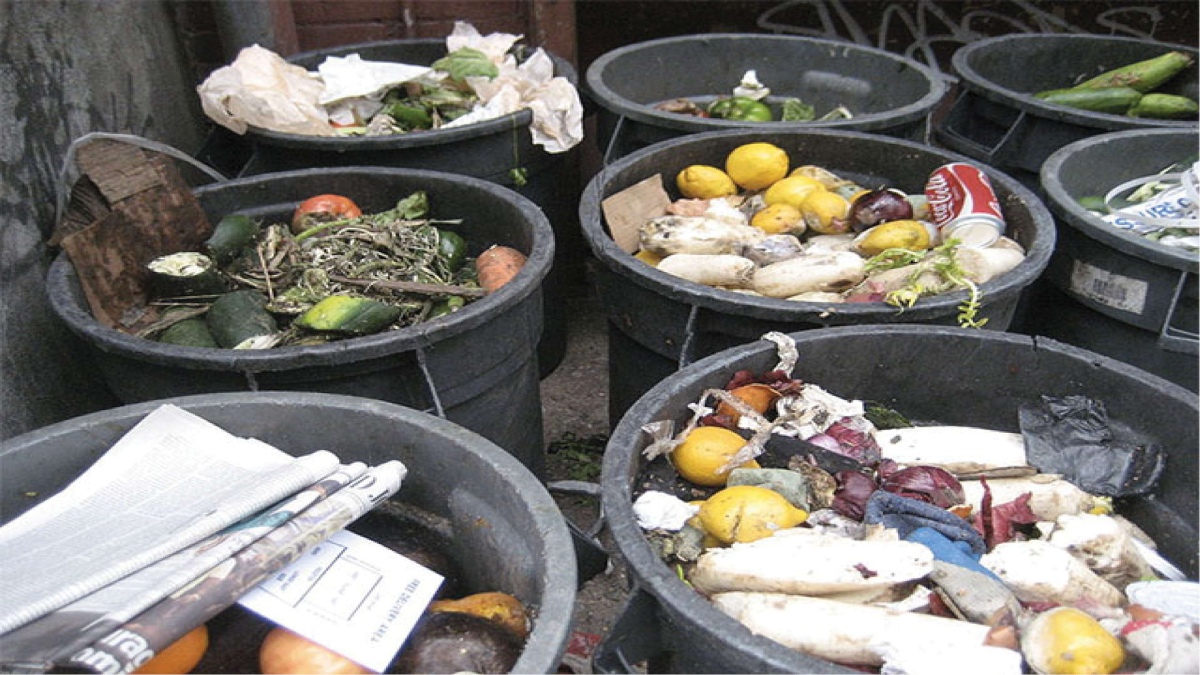 Why food waste may be one of the most pressing climate concerns