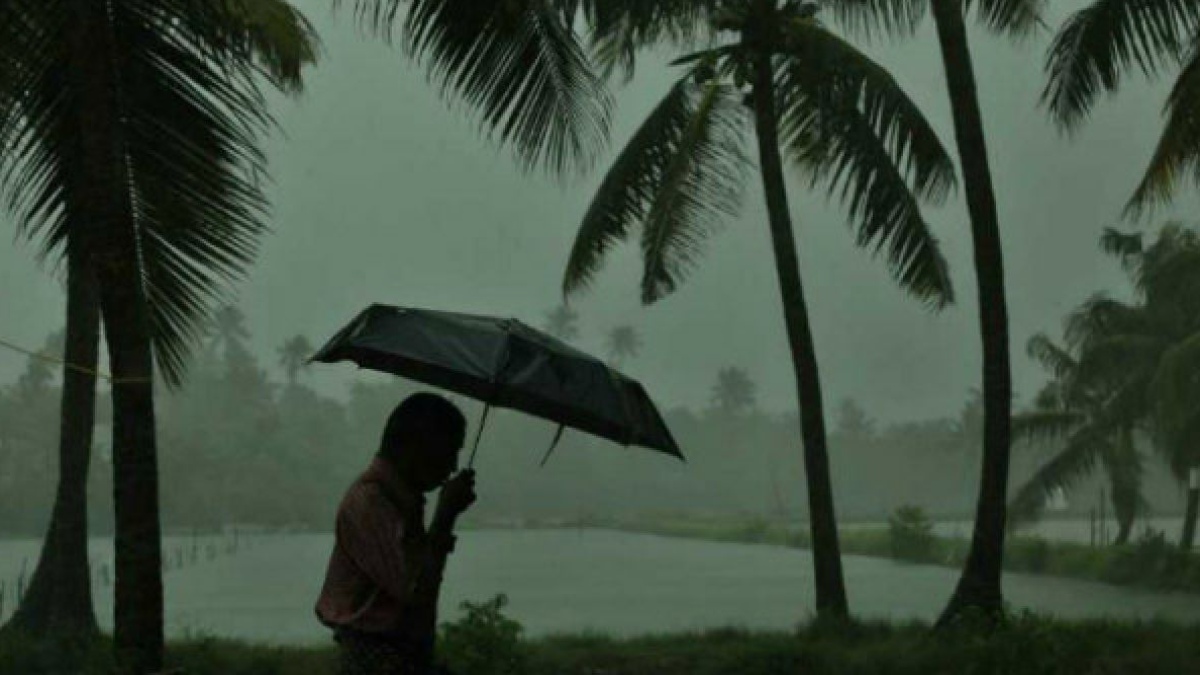 Anticipated Rainfall Forecast for Tamil Nadu: IMD Predicts Light to Moderate Showers for Next Seven Days
