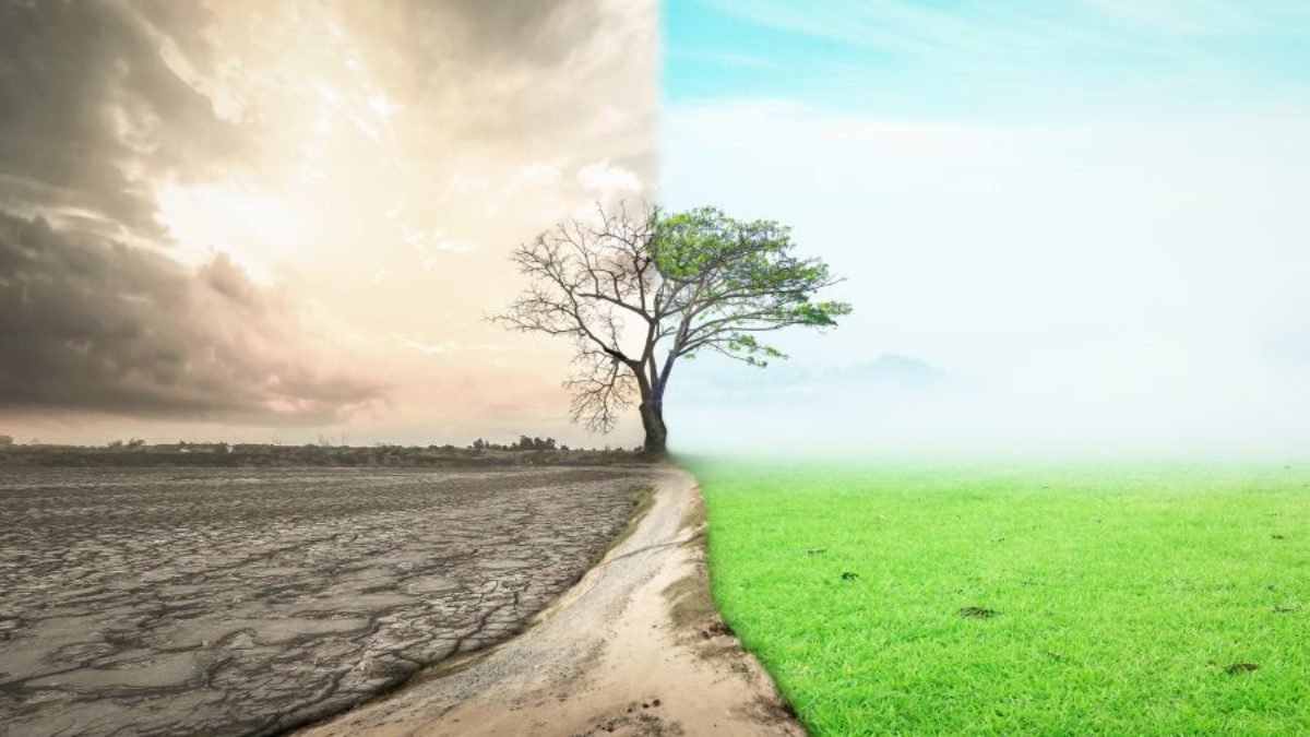 Climate change and the rectification measures in Indian and European laws