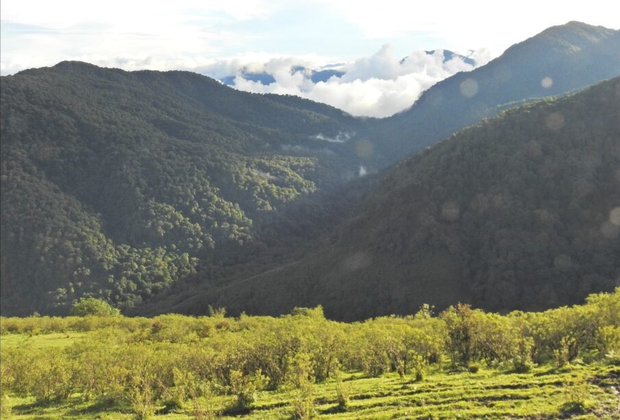 US strongly opposes China's claim over Arunachal Pradesh