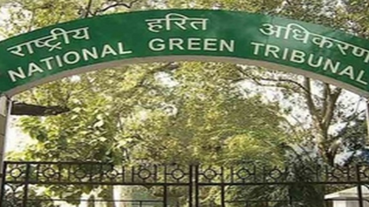 Vasant Vihar residents move to NGT against pruning of trees