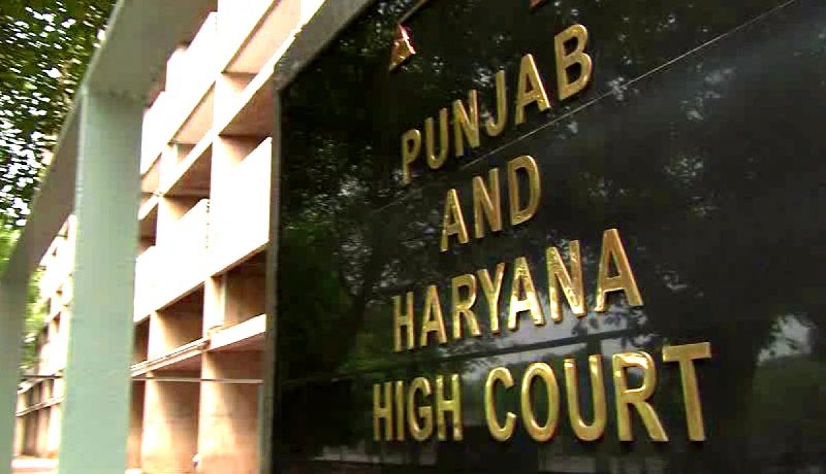 high court punjab and haryana case status