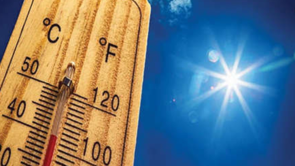 Delhi records highest temperature of 41.1°C so far this year