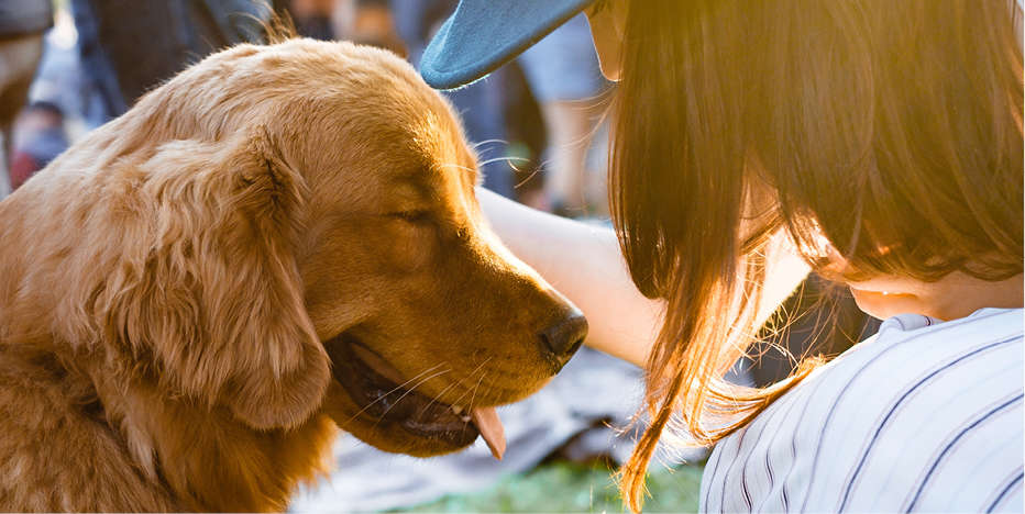 RESEARCH REVEALS DOGS CRY WHEN THEY REUNITE WITH OWNERS