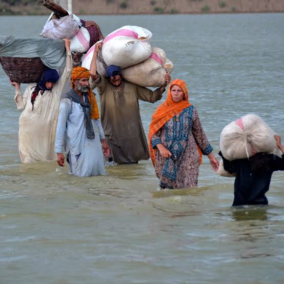 982 dead and over 33 million affected amidst Pakistan flood