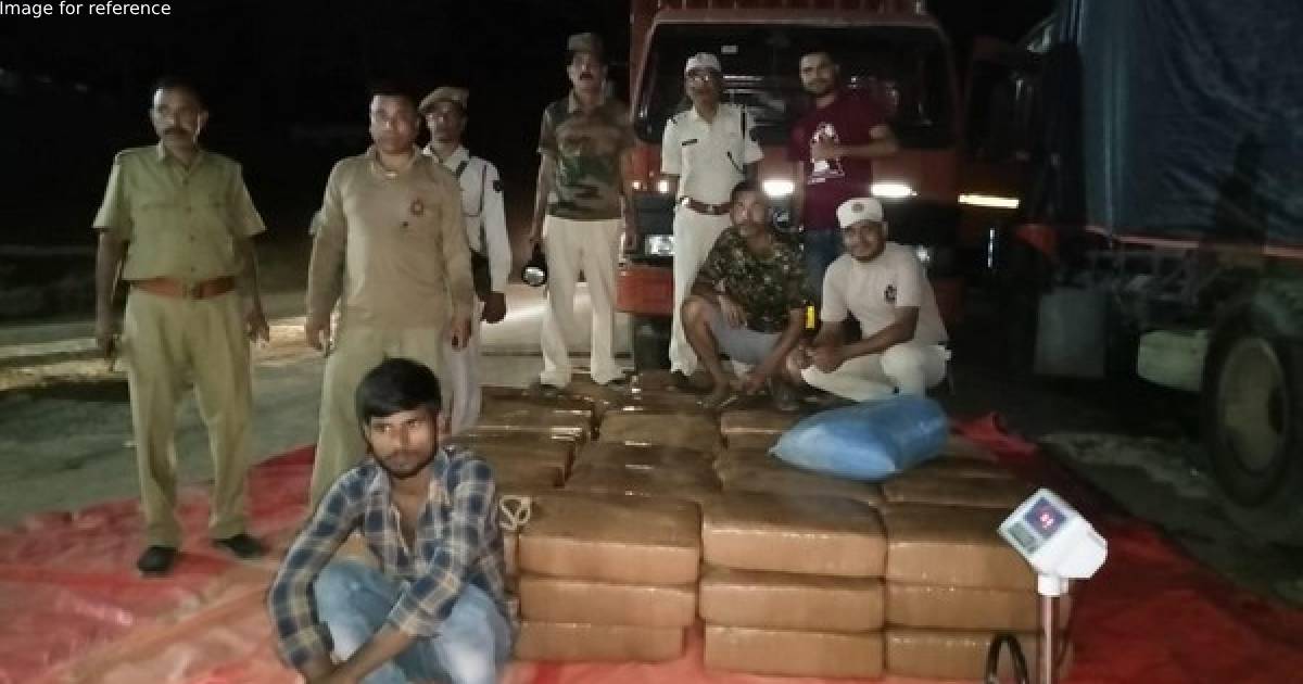 Assam: 1 held with 1100 kg ganja worth about Rs 2 crore