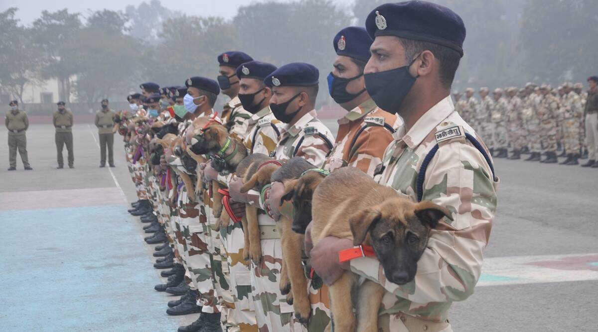 ITBP promotes 64 head constables of Animal Transport cadre to ASI