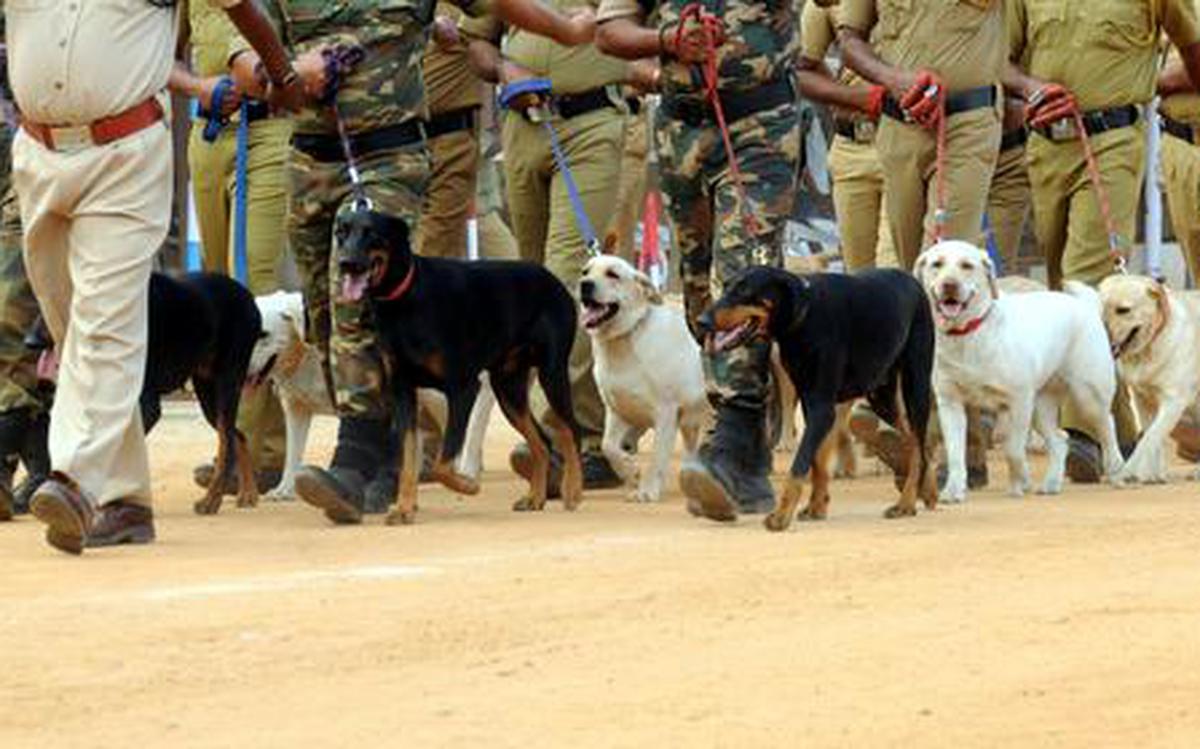 K9 Scent pads for security force’s dogs to be manufactured in India by DRDO and ITBP