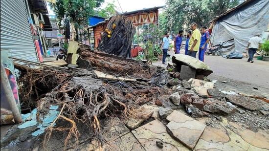 Mumbai: Tree falls on Ganpati Pandal in Thane, woman dead, 4 injured