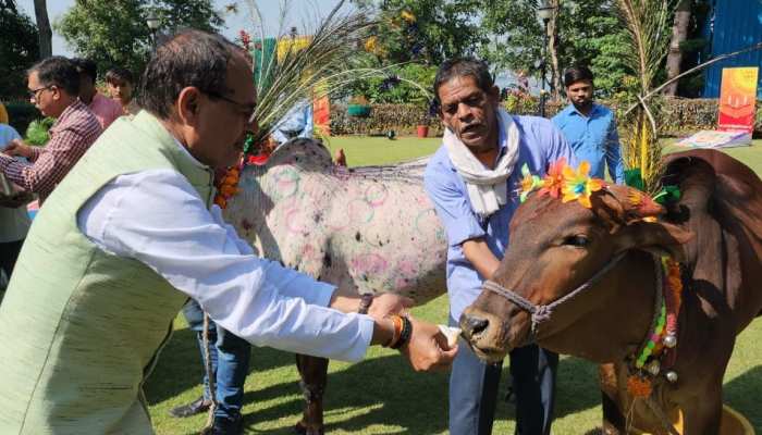 CM Chouhan performs Govardhan Puja in Bhopal; appeals to promote natural farming