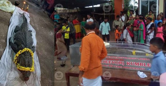 Kasaragod: ‘Vegetarian Crocodile’ Babiya passes away at Ananthapura lake