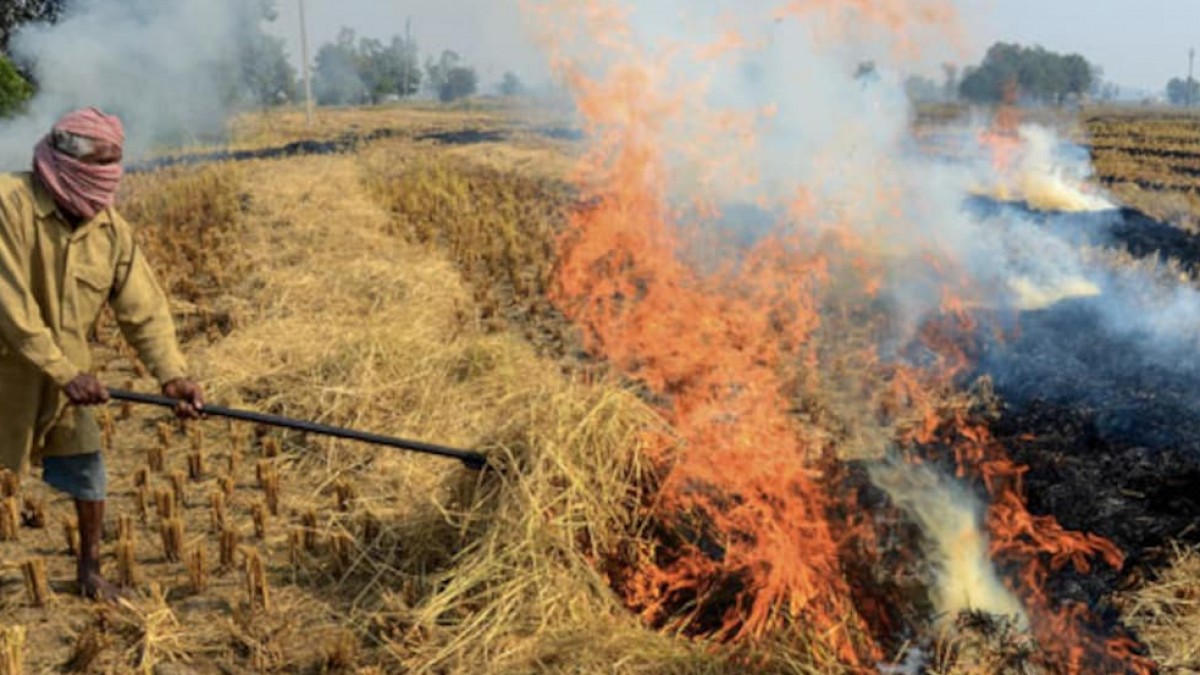 A red entry was made if someone burnt stubble, says Punjab Minister