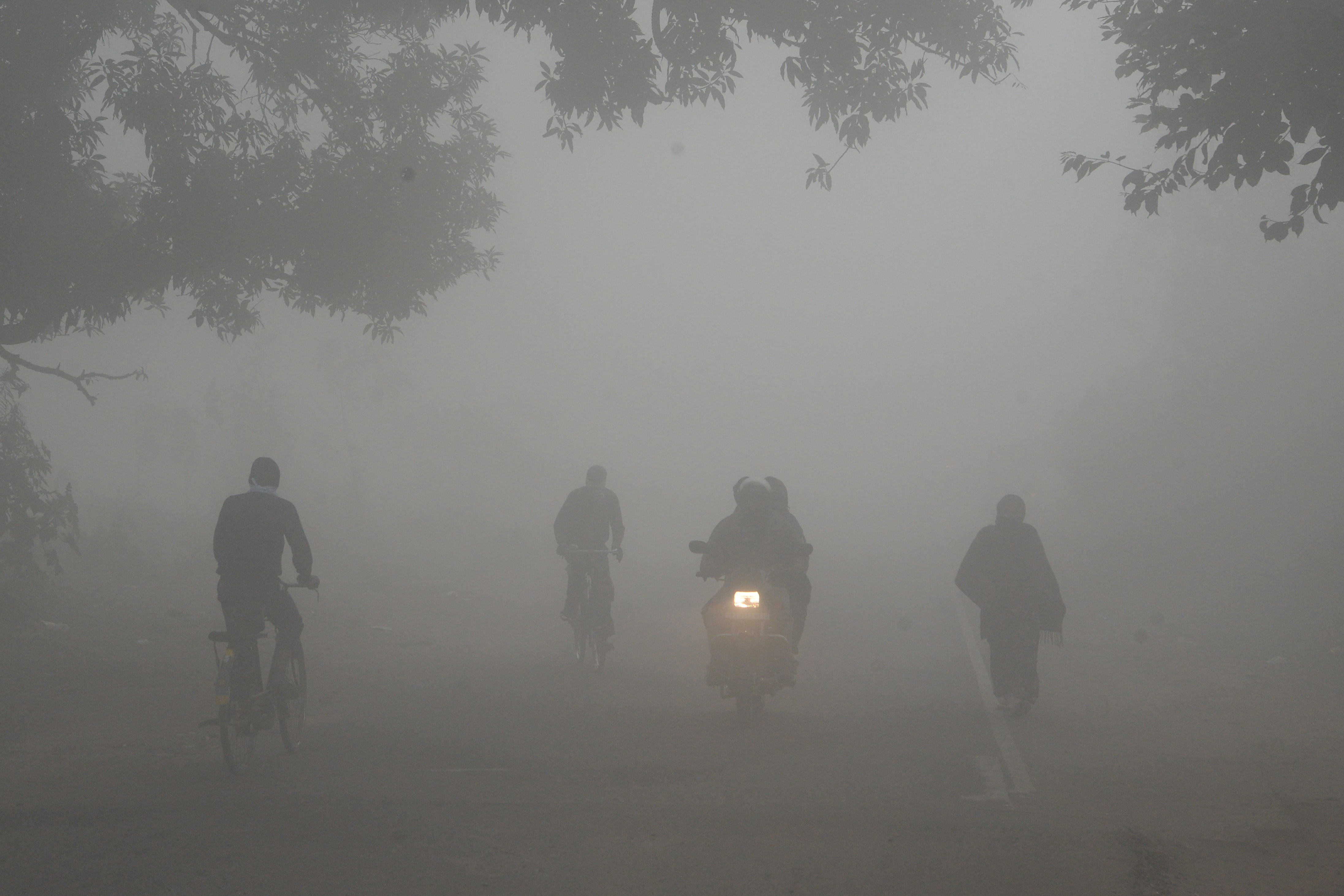 Delhi wakes up to dense fog