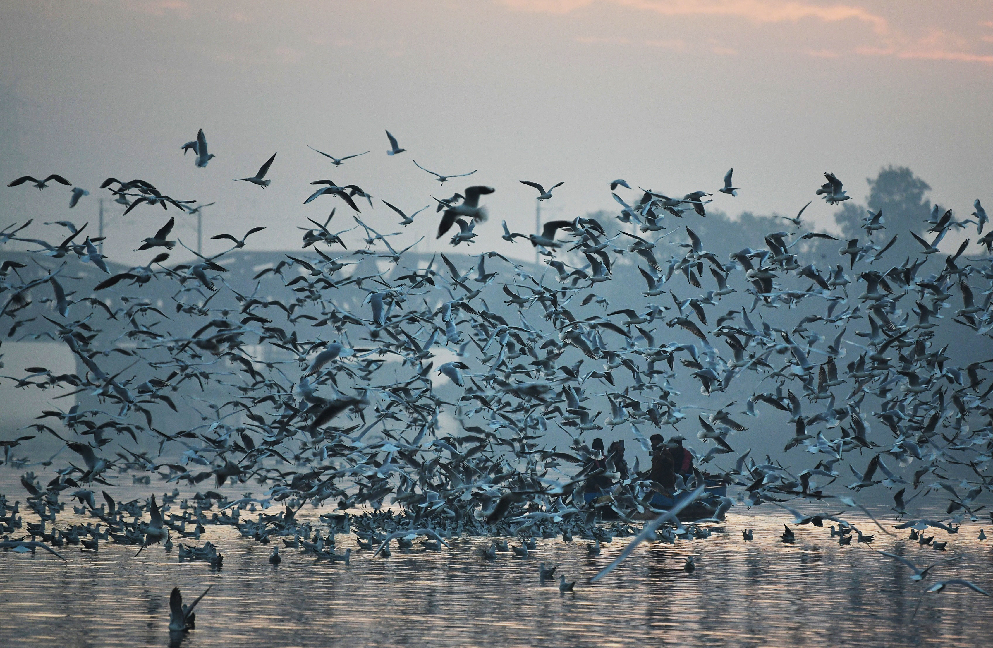 People enjoy a boat ride in the Yamuna river