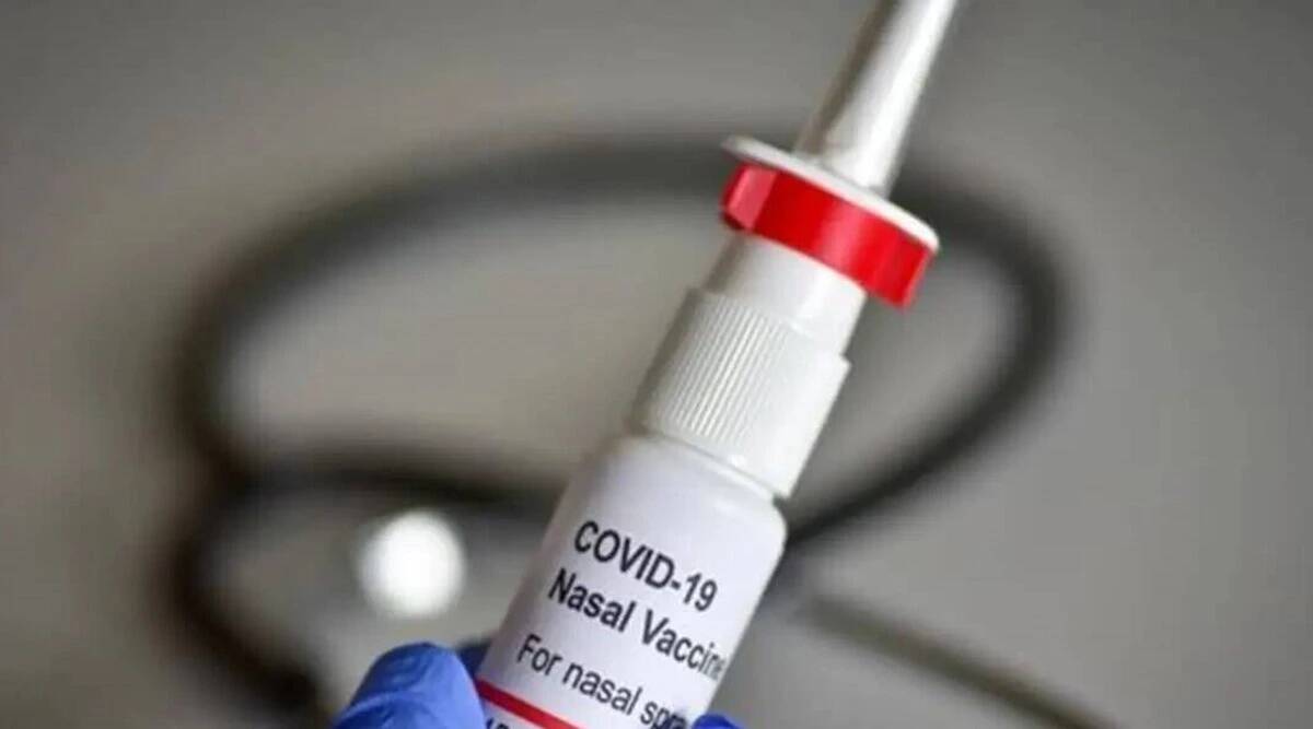DGCI Approves Covovax In Markets