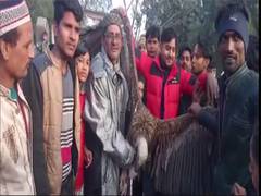 Kanpur: Rare Himalayan Griffon Vulture captured from Eidgah cemetery