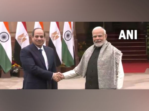 PM Narendra Modi holds talks with Egyptian President Abdel Fattah El-Sisi