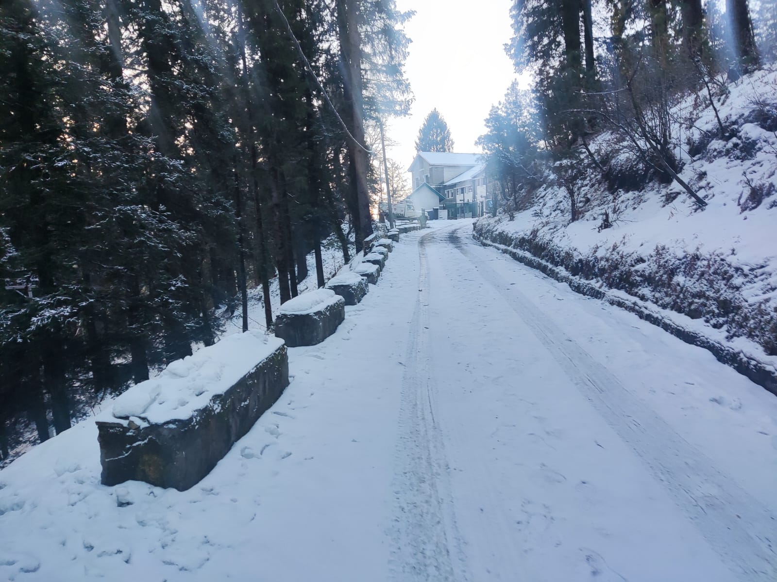 Snowfall disrupts normal life in Himachal Pradesh