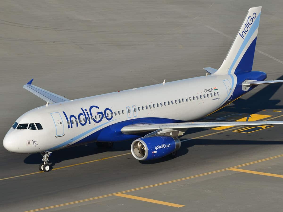 Indigo: Two passengers arrested after they verbally abused staff during flight