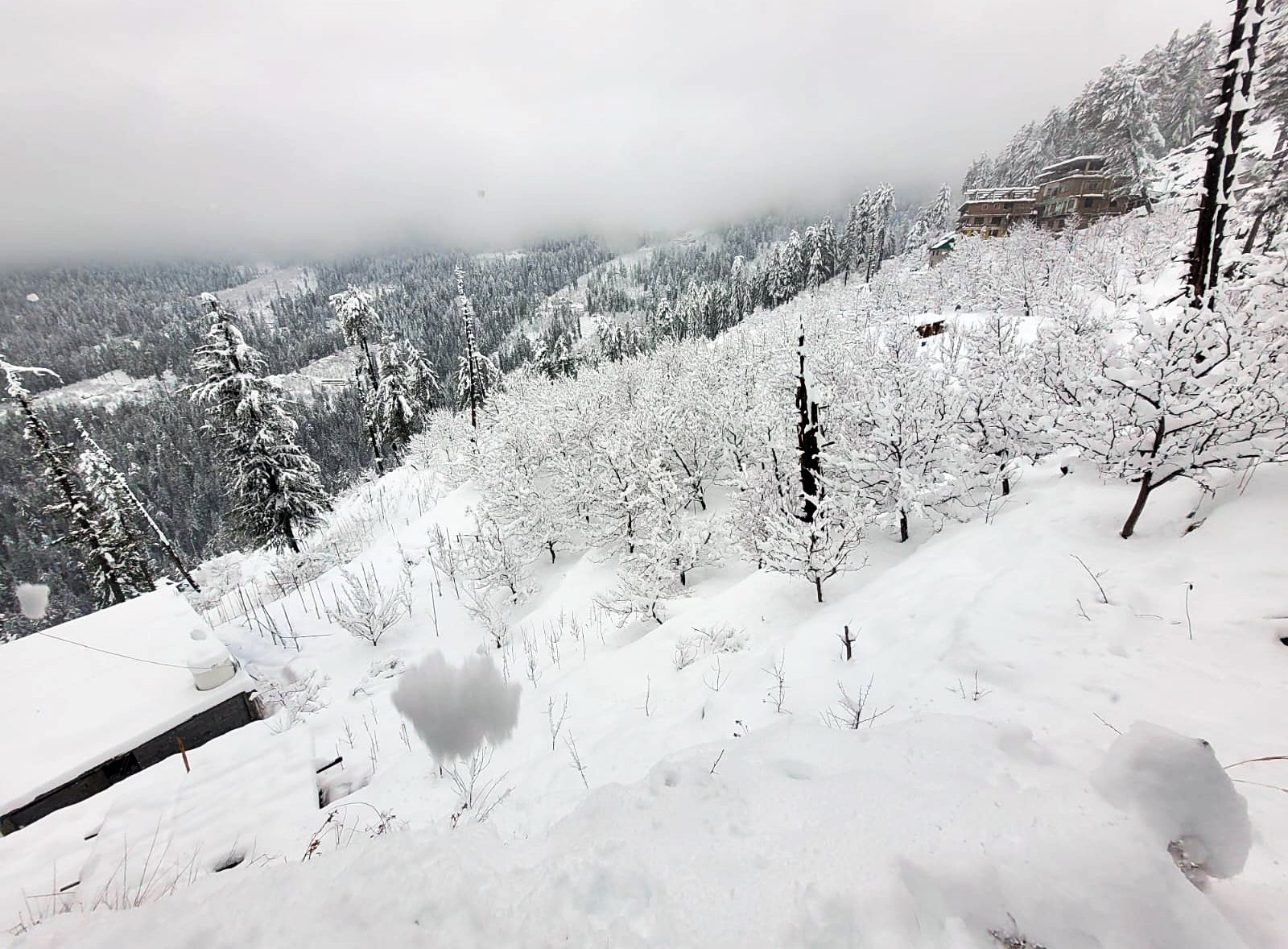 Himachal Pradesh: Higher reaches continue to receive heavy snowfall