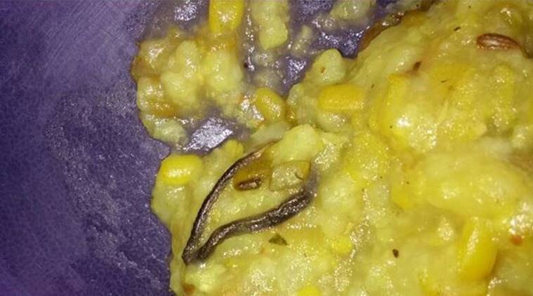 Snake found in Bengal Primary School’s midday meal.
