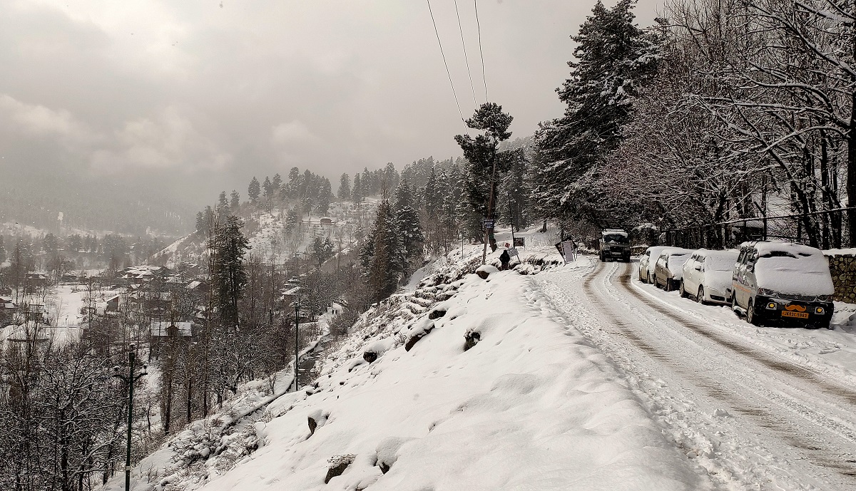 J&K: Severe Cold Wave Sweeps Kashmir, Morning Fog Causes Road Visibility Issues
