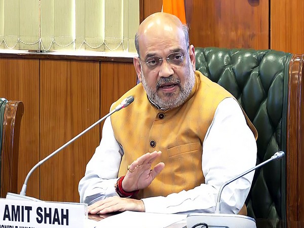 Amit Shah charges Raghav Chadha of fraud in connection with the Delhi Service Bill motion.
