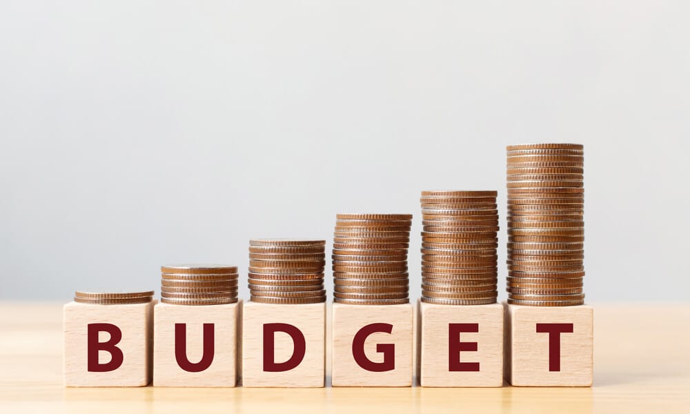 Delicate Budget act of maximising fiscal impulse