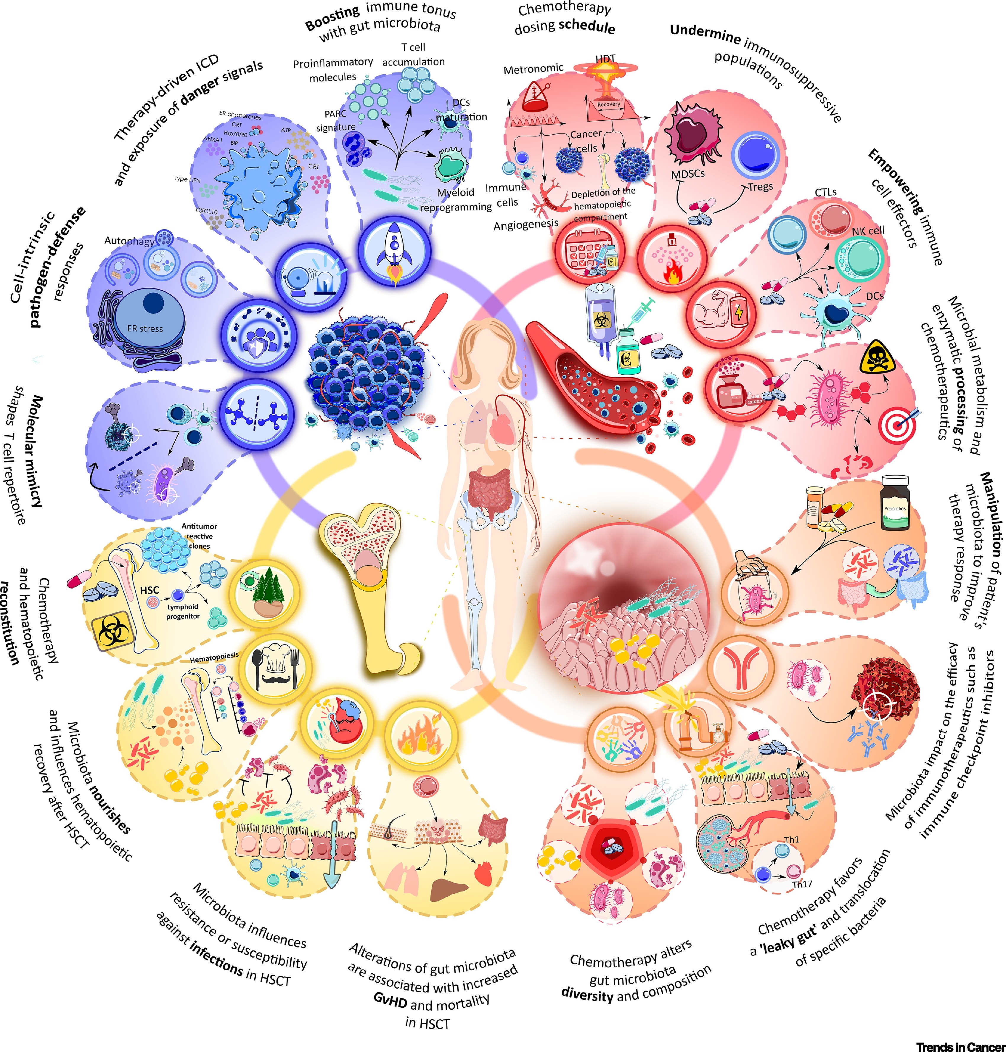 ROLE OF IMMUNOMODULATION IN CANCER TREATMENT – THE DAWN AND THE FUTURE