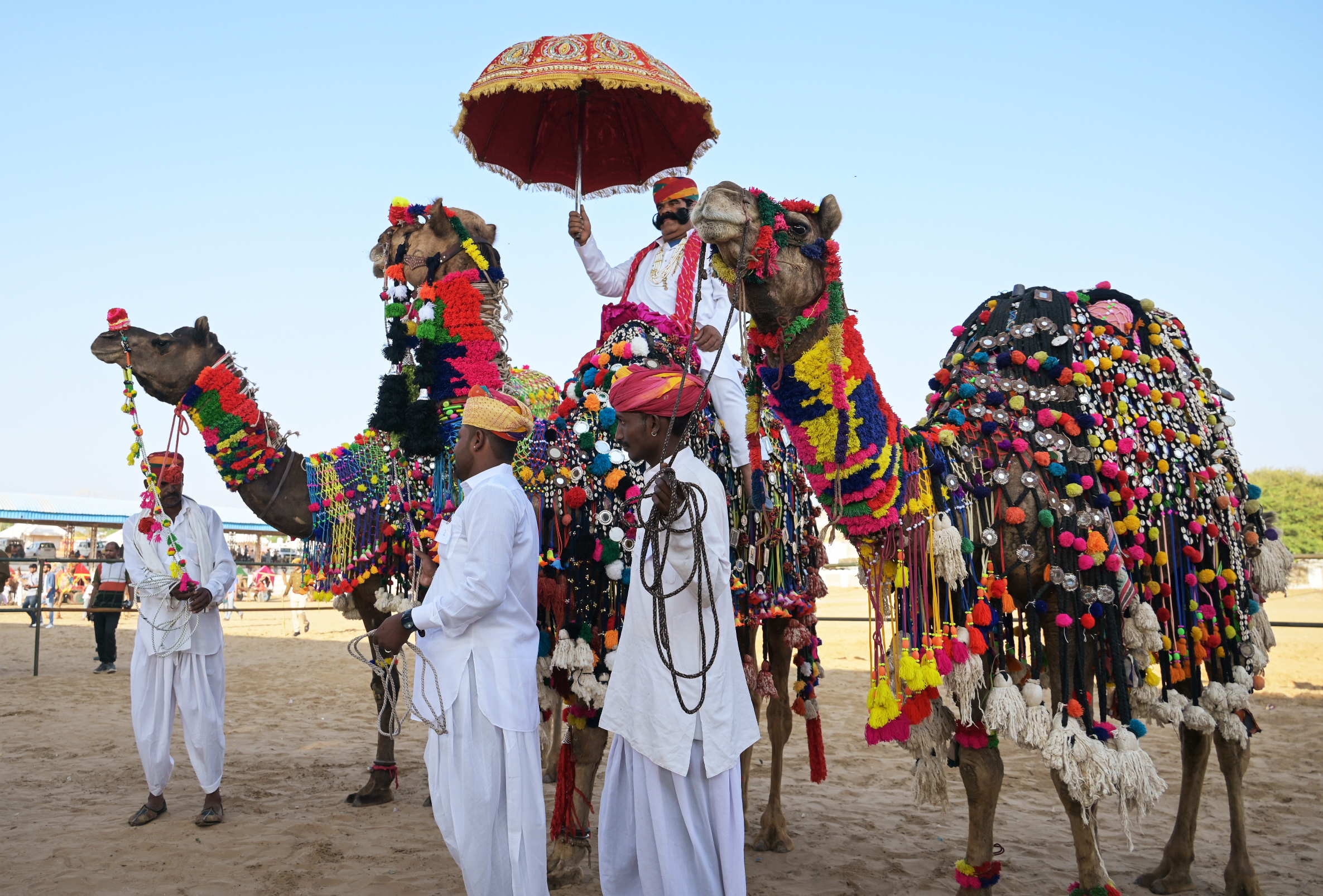 Men dressed in traditional Rajasthani attire with their camels during the International Holi Festival in Pushkar